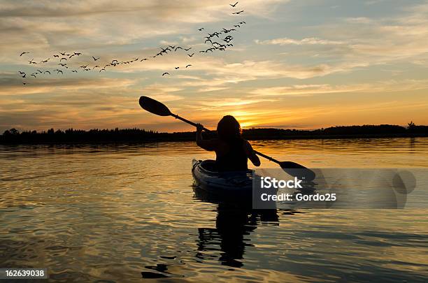 Woman Kayaking At Sunset On Lake Ontario Stock Photo - Download Image Now - Kayaking, Ontario - Canada, Landscape - Scenery