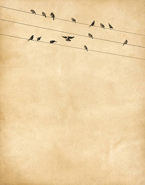 istock Textured paper with birds on wires 162640499