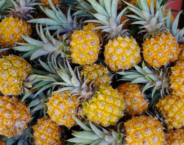 istock Rural market in Mahebourg, Mauritius 1626455539