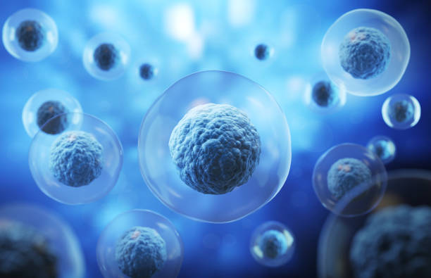 istock 3d rendering of Human cell or Embryonic stem cell microscope background. 1626470215