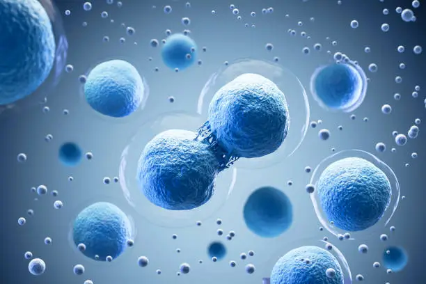 Photo of 3d rendering of Human cell.