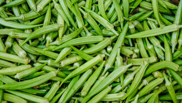 istock Fresh okra at the farmer market 1626493021