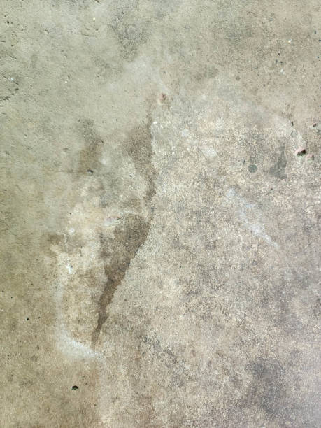 istock Grunge cement wall texture background, grunge cement wall background 1626497190