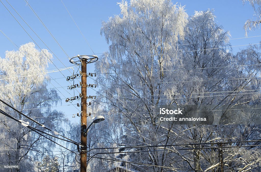 Câbles électriques en hiver - Photo de Alimentation électrique libre de droits