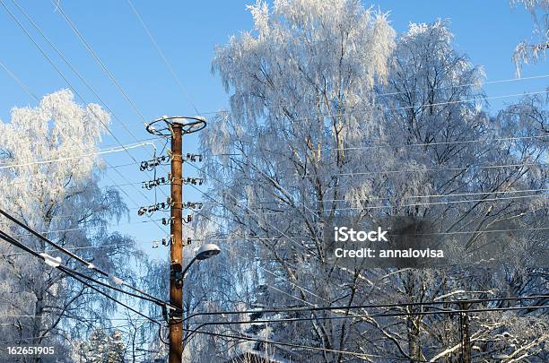 Photo libre de droit de Câbles Électriques En Hiver banque d'images et plus d'images libres de droit de Alimentation électrique - Alimentation électrique, Arbre, Blanc