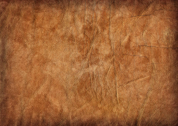 hi-res brown kalbs-faltig fleckig vignettierung grunge-textur - leather stock-fotos und bilder