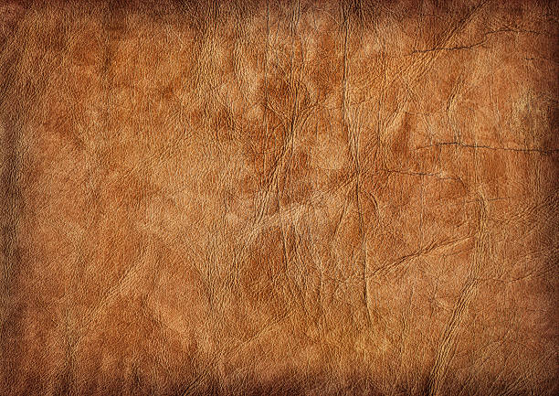 Hi-Res Brown Veal Leather Crumpled Mottled Vignette Grunge Texture stock photo