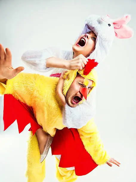 Easterrabbit and chicken fighting