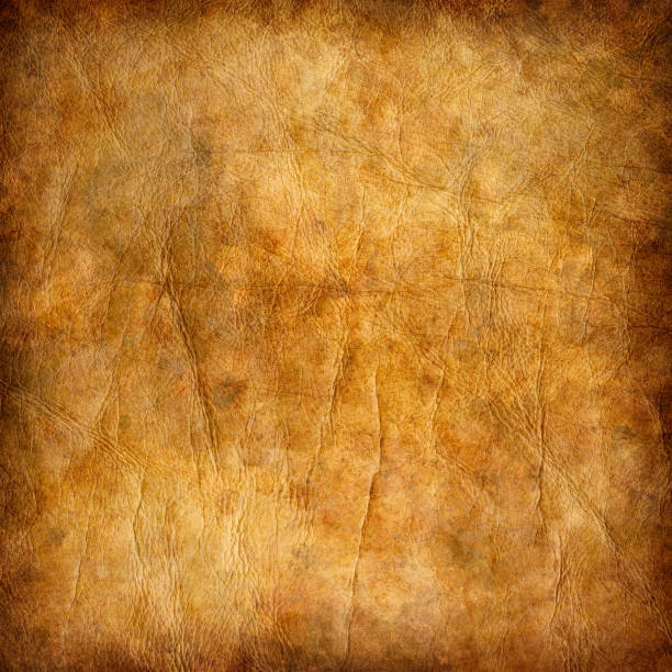 istock High Resolution Animal Skin Parchment Mottled Vignette Grunge Texture 162655943