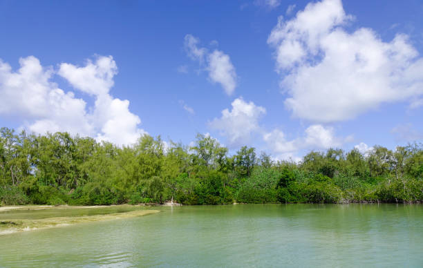 istock Seascape with turquoise water at sunny day 1626609747