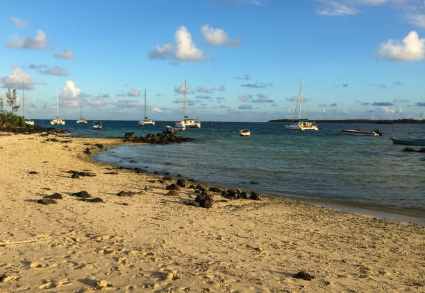 istock Seascape in Grand Baie, Mauritius 1626614140