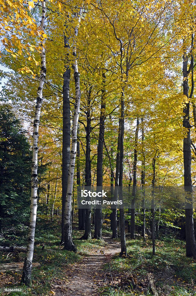 Herbst Landschaft - Lizenzfrei Ast - Pflanzenbestandteil Stock-Foto