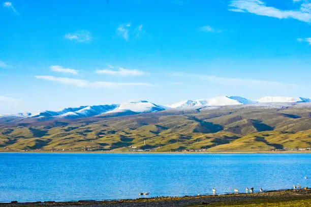 Hainan Tibetan Autonomous Prefecture, Qinghai Province-Qinghai Lake Scenery