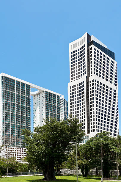 istock Buildings in Brickell Avenue 162668162