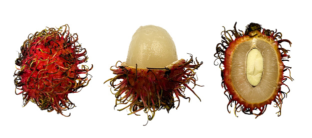 Rambutan is a medium-sized tropical tree in the family Sapindaceae