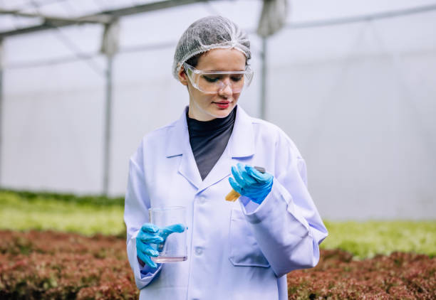 istock Hydroponic scientist uses pH meter for quality control, ensuring optimal conditions in cultivation 1626698731