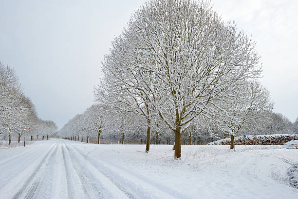 istock Snowy road through the countryside 162672219