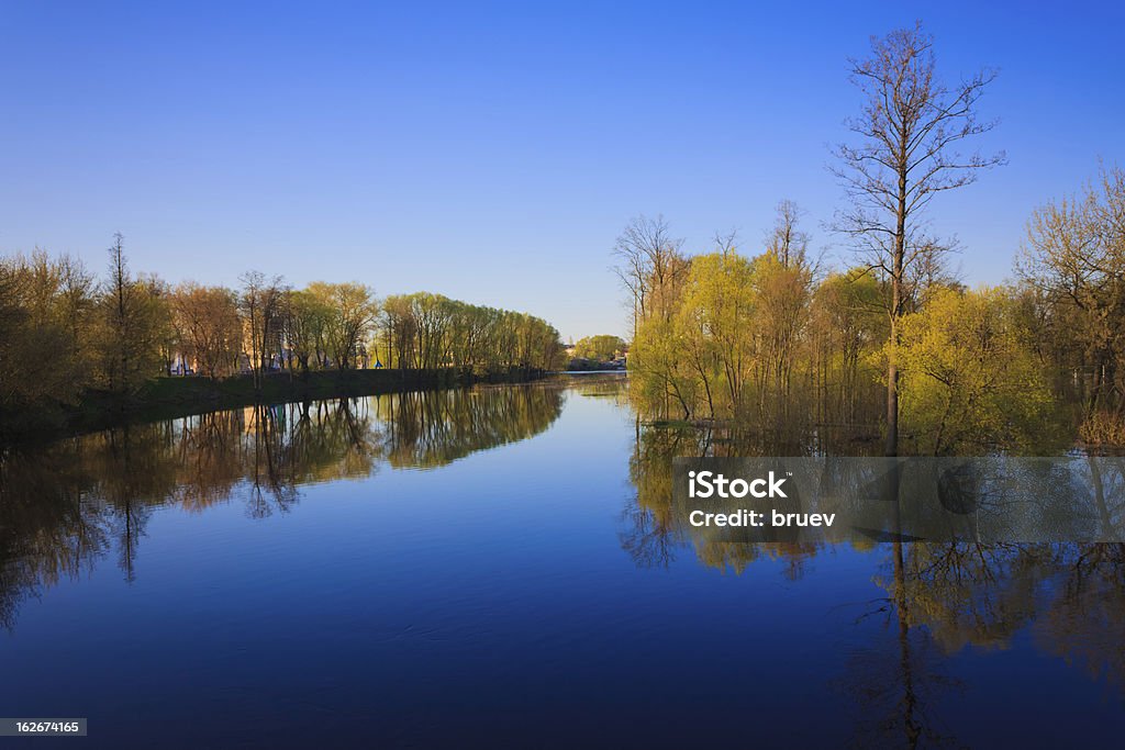 Riflessione di alberi nel fiume all'alba - Foto stock royalty-free di Acqua