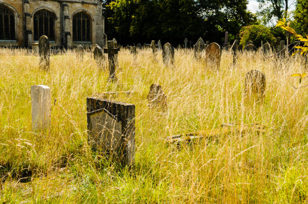 Gravestones in an overgrown English graveyard