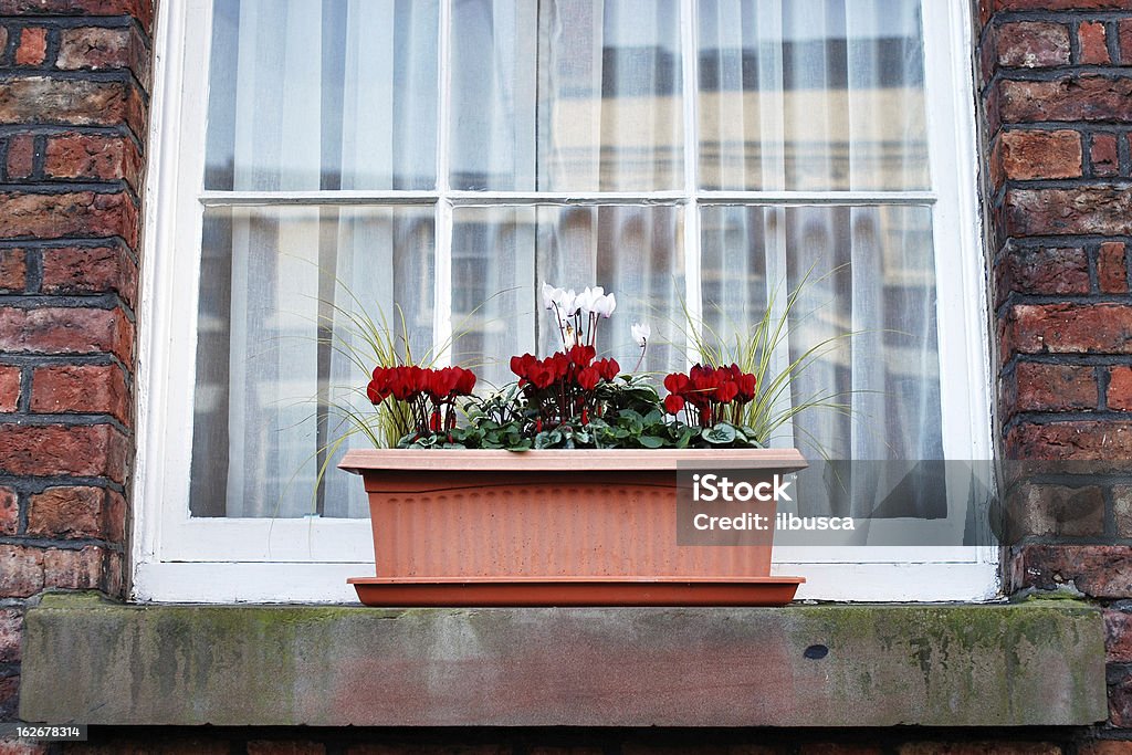 British ventana con flores - Foto de stock de Arquitectura libre de derechos
