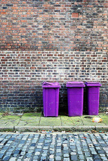 istock Trash bins in the street 162678520