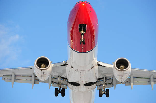 Engine, fuselage and landing gears of landing aeroplane. Clear blue sky.