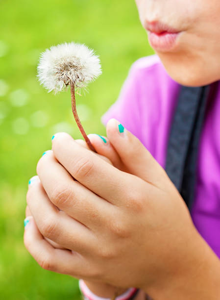 istock Girl blowing dandelion 162681774