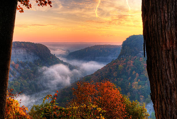 foggy wschód słońca nad letchworth state park w nowym jorku - letchworth state park zdjęcia i obrazy z banku zdjęć