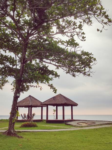 istock Beautiful outdoor nature tranquil view at the beach 1626829267