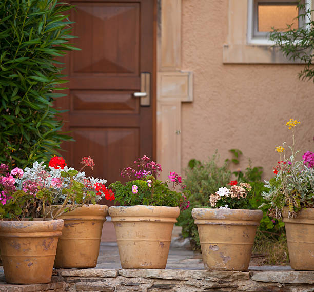 istock Flowers in the pots 162684724