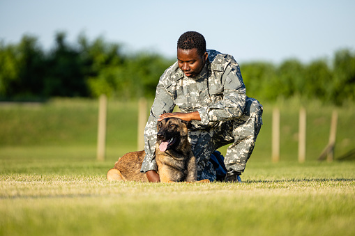 Soldier in uniform cuddling military dog at training camp.