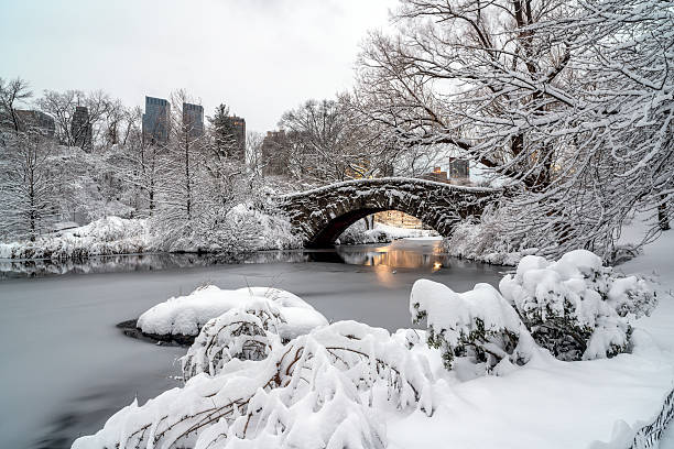 istock Central Park, New York City Gapstow bridge 162685235