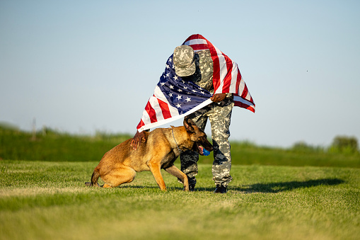 Soldier in uniform holding Us flag and building trust with his military dog.