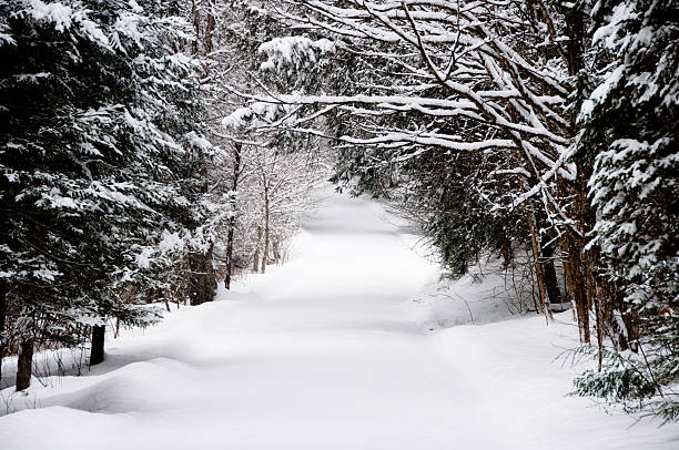 A scenic country road is covered with a thick layer of snow and nary a track in sight.
