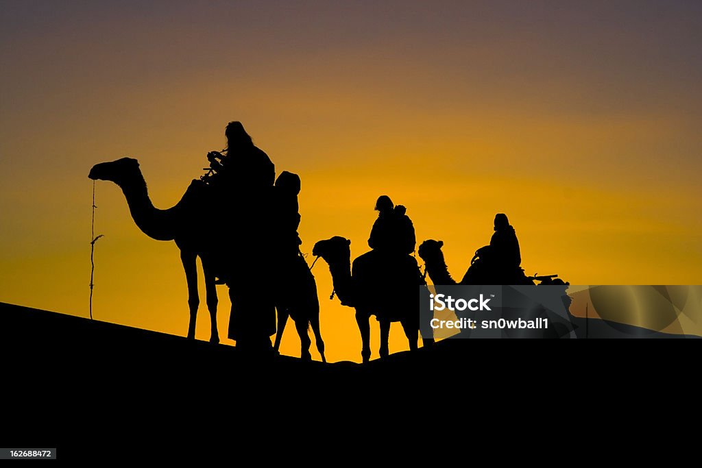 Silhuette caravana de camellos en el desierto - Foto de stock de Camello libre de derechos