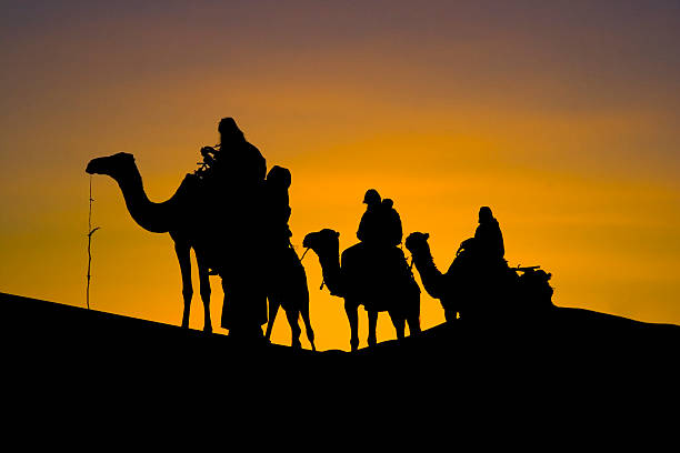 Silhuette of a camel caravan in the desert stock photo