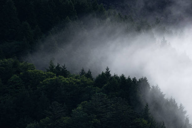 istock beautiful sea of clouds 1626887288