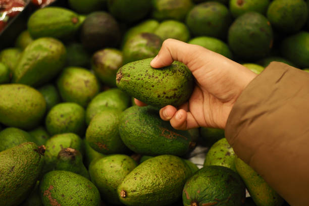 istock many avocado display for sale at local store 1626888398