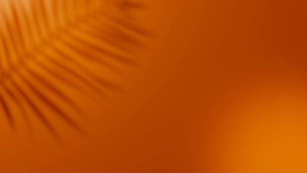istock Orange autumn background with shadows from sunlight. September Fall colors. Autumn empty space showroom. Wall background. 1626898611