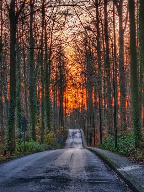 A Brussels street in the early morning hours, on a winter's day