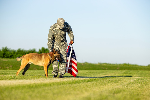 USA marine soldier standing by his military dog and holding flag.