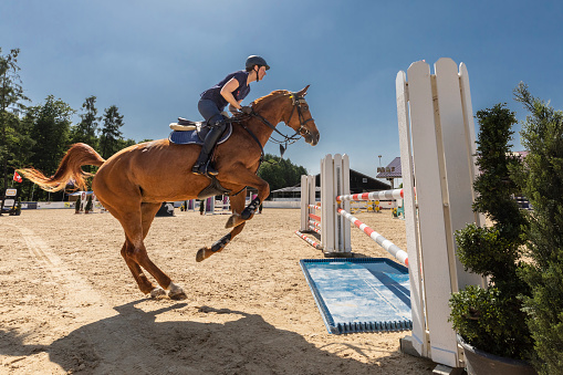 An experienced female show jumper on her brown mare is starting a jump at a hurdle on a sunny day during a horse riding work shop at Ranshofen Horse Riding Arena, Austria.\nCanon EOS 5D Mark IV, 1/1250, f/11 , 16 mm.