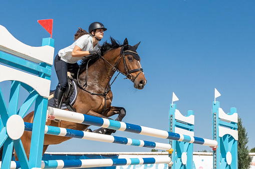 An experienced female show jumper on her brown mare is crossing over a blue ox-fence very focused on a sunny day during a horse riding work shop at Ranshofen Horse Riding Arena, Austria.\nCanon EOS 5D Mark IV, 1/1250, f/6,3 , 105 mm.