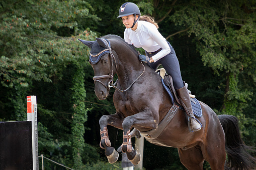 Equestrian sport - show jumping (young woman and sorrel stallion) on nature background