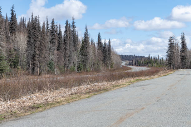 istock Alaska Highway 4 at from the Mount Billy Mitchell rest area 1626958719