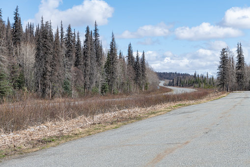 Alaska Highway 4 at from the Mount Billy Mitchell rest area