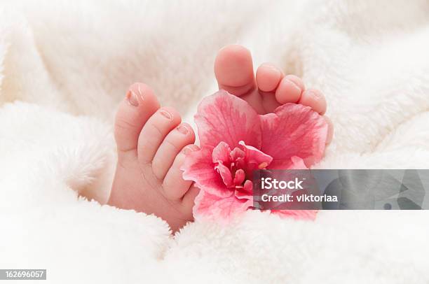 Babyfeet Mit Rosa Blumenmuster Stockfoto und mehr Bilder von Baby - Baby, Barfuß, Bildkomposition und Technik