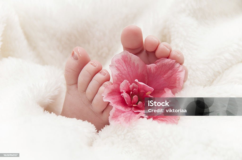 Babyfeet z różowy kwiat - Zbiór zdjęć royalty-free (Biały)