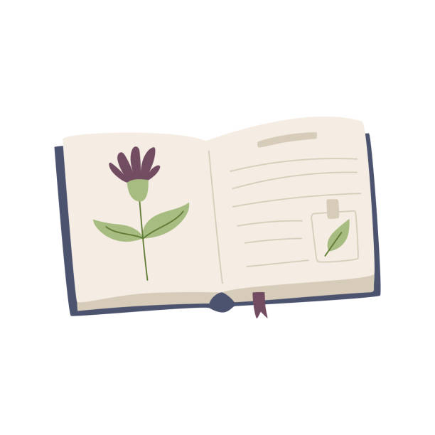 istock An open book, herbarium with a flower, sticker and bookmark. Encyclopedia with botanical. Flat cartoon vector decorative element isolated on a white background 1626973156