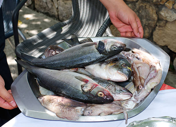 istock Raw fishes and calamari 162700252